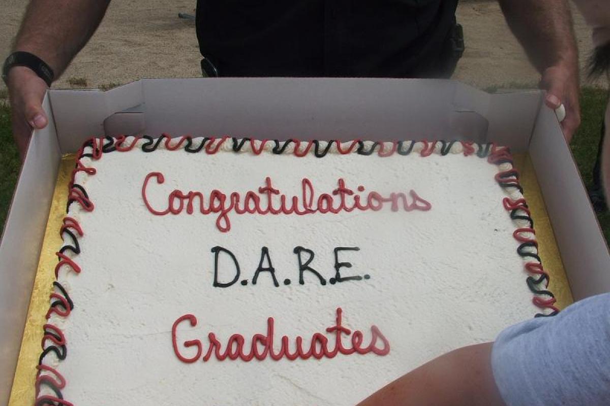 DARE Cake 2007
